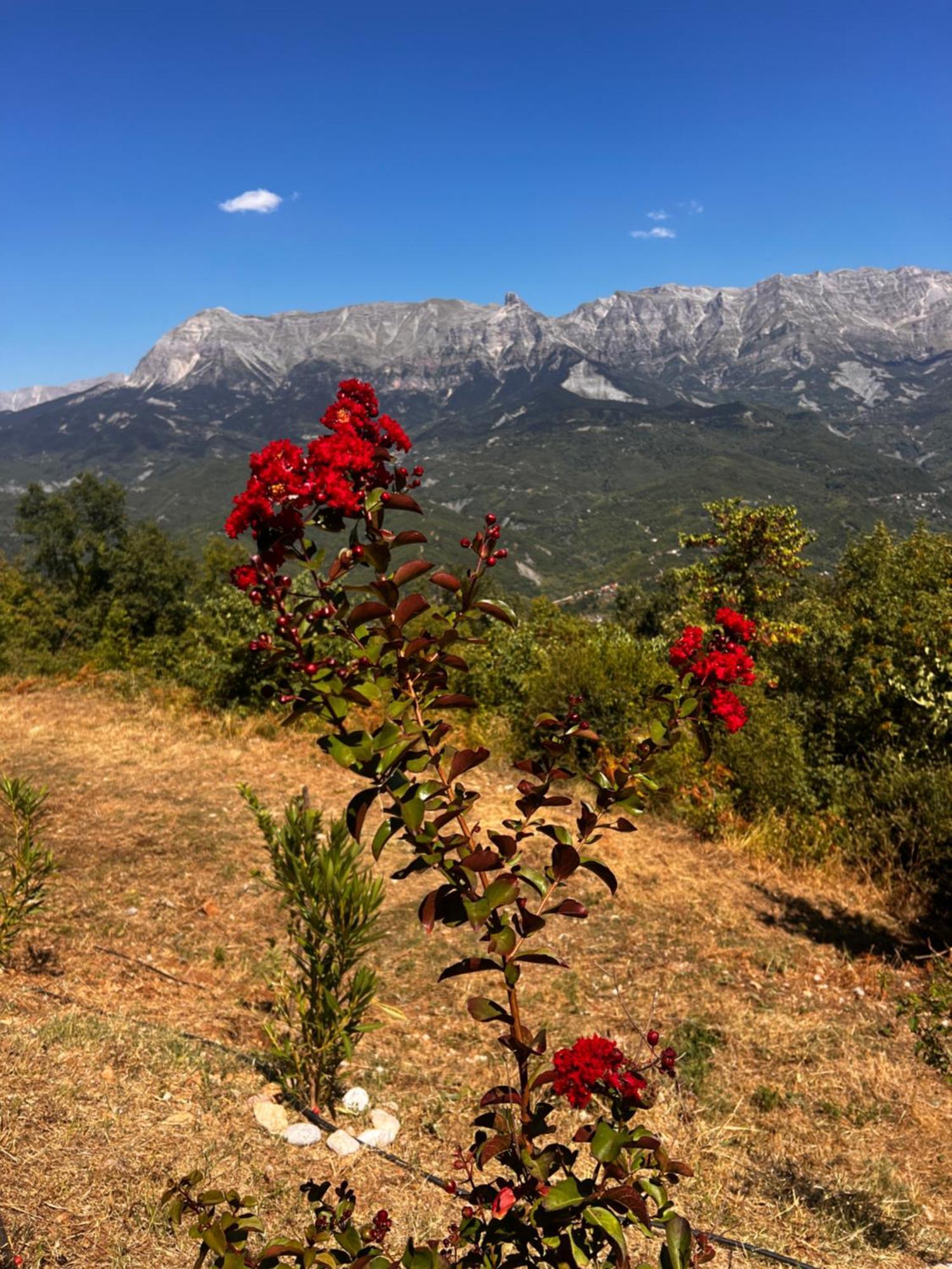 Tovouno ξενώνας Πλάκα Εξωτερικό φωτογραφία